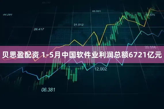 贝思盈配资 1-5月中国软件业利润总额6721亿元