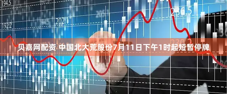 贝嘉网配资 中国北大荒股份7月11日下午1时起短暂停牌