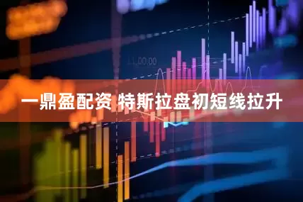 一鼎盈配资 特斯拉盘初短线拉升