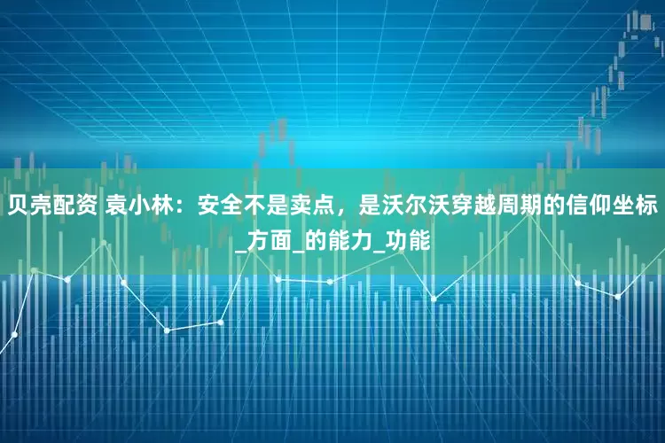 贝壳配资 袁小林：安全不是卖点，是沃尔沃穿越周期的信仰坐标_方面_的能力_功能