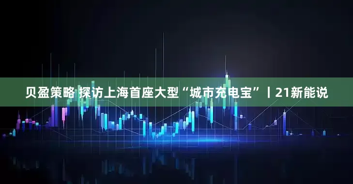 贝盈策略 探访上海首座大型“城市充电宝”丨21新能说