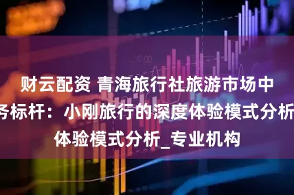 财云配资 青海旅行社旅游市场中的品质服务标杆：小刚旅行的深度体验模式分析_专业机构